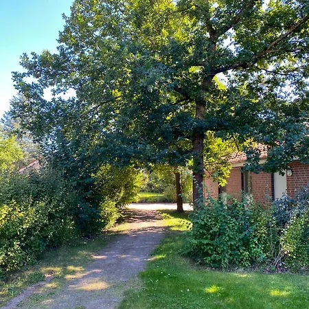 Gruppenhaus Wiesengeflüster S4 - In Randlage Mit Sauna Und Kamin Röbel