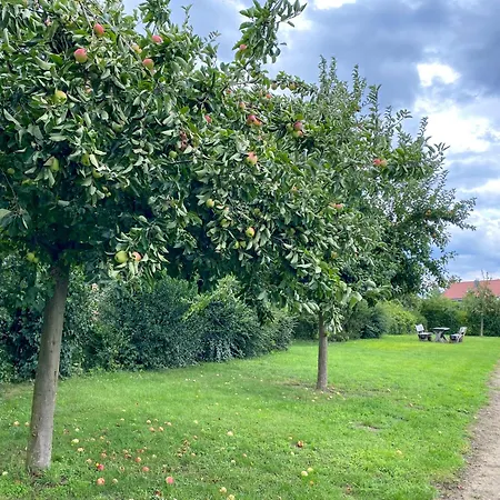 Gruppenhaus Wiesengefluester S4 - In Randlage Mit Sauna Und Kamin