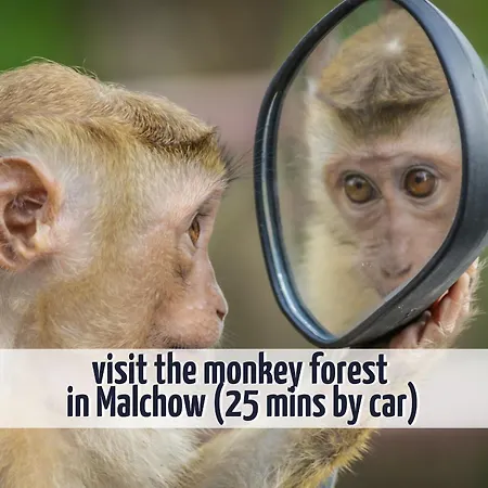 Gruppenhaus Wiesengefluester S4 - In Randlage Mit Sauna Und Kamin * Röbel