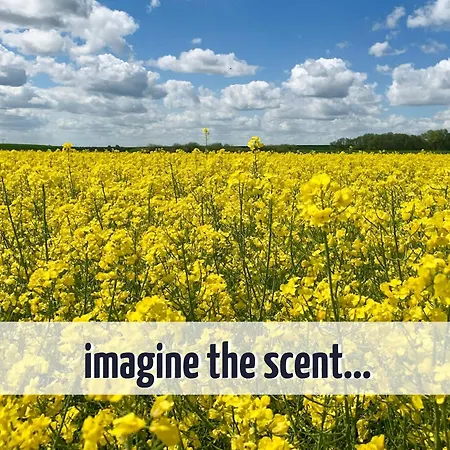 Gruppenhaus Wiesengefluester S4 - In Randlage Mit Sauna Und Kamin *