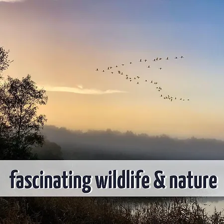 Gruppenhaus Wiesengefluester S4 - In Randlage Mit Sauna Und Kamin Röbel