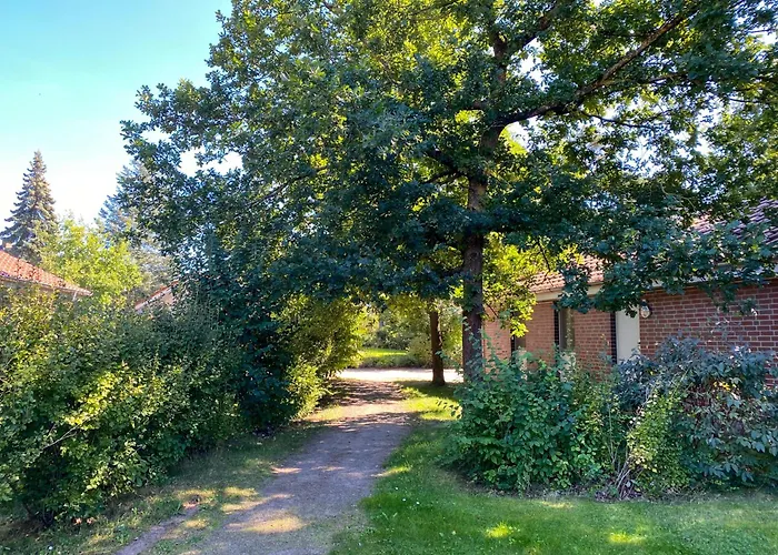 Gruppenhaus Wiesengefluester S4 - In Randlage Mit Sauna Und Kamin Röbel